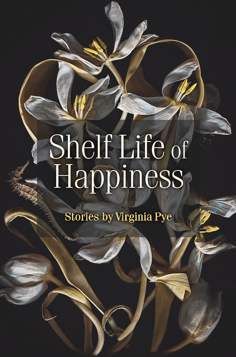 ShelfLifeofHappinessCover.jpg