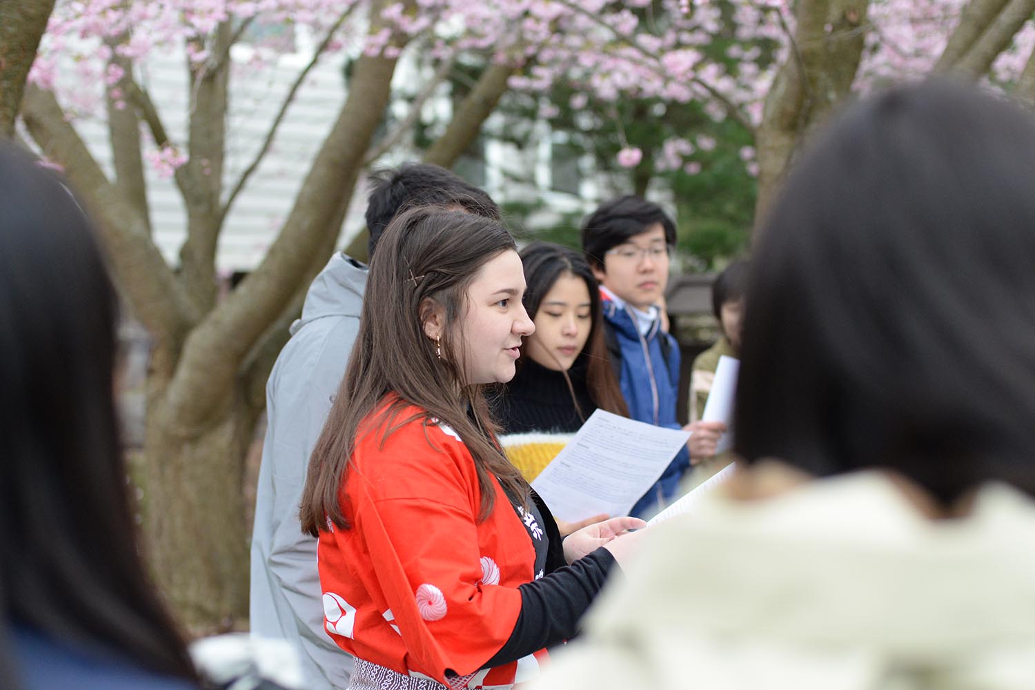 Students enrolled in JAPN218 and JAPN220 courses took turns reading a story—in Japanese and English—about the CEAS's cherry trees. 