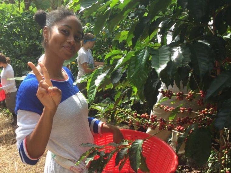 Beaumont ’19 picking coffee at a coffee farm in Costa Rica during a semester abroad.