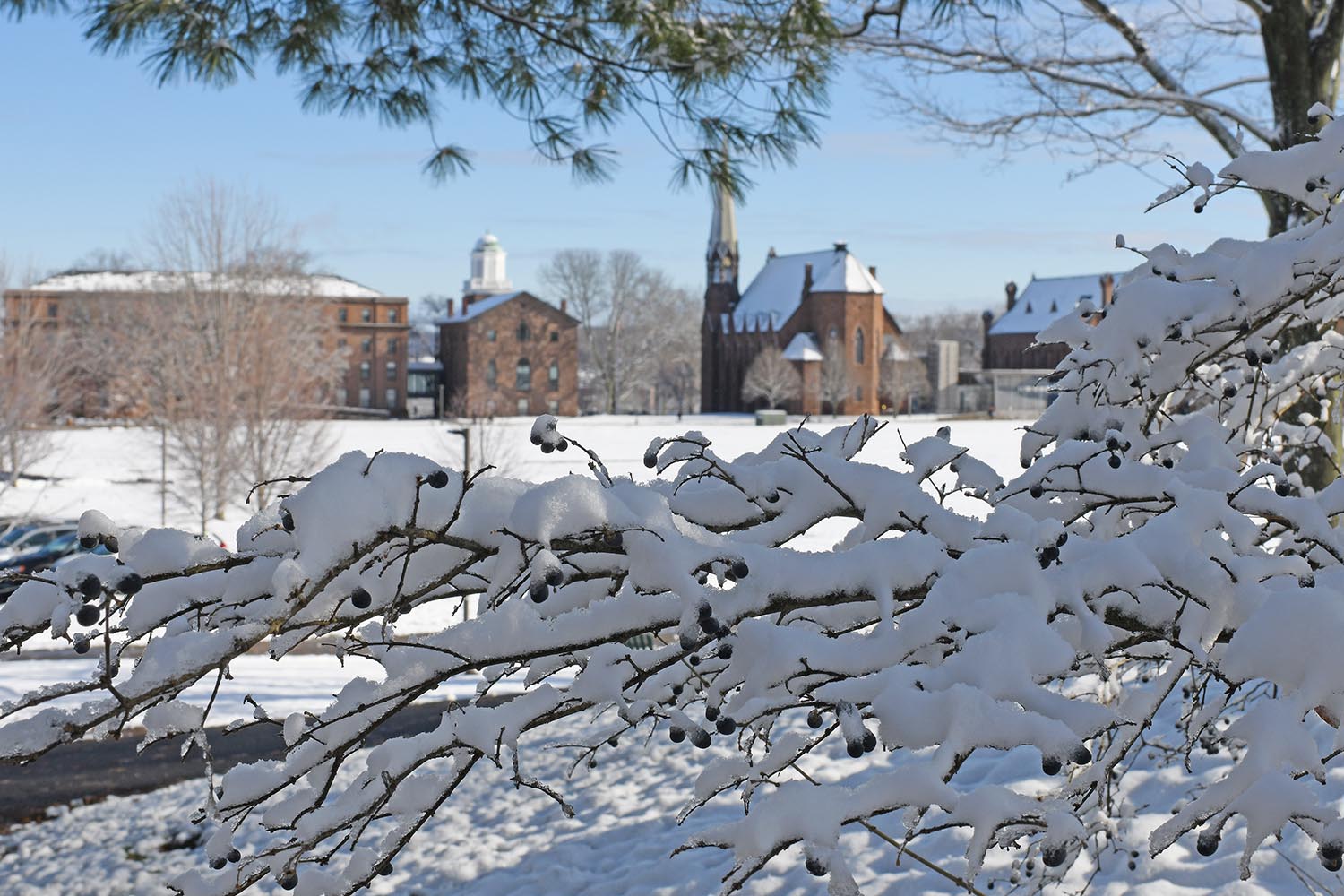Snow lightly blanketed campus during the morning hours of Dec. 11. By noon, much of the snow had started to melt. 