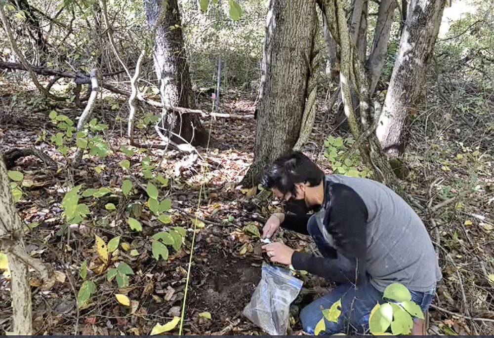 Xavier Lopez ’21 collects soil in the Long Lane Forest for a carbon percentage study. (Photo by Phil Resor) 