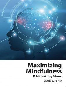maximizing mindfulness cover
