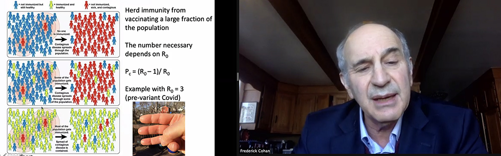 Fred Cohan showed a model of herd immunity. “I want to give people a sense of hopefulness. That is, [eradicating COVID-19] is something that’s possible,” Cohan said. “It’s not going to be easy. It’s an awful disease. We made some technological breakthroughs and it’s likely with political will and more technology we could actually put an end to this forever.”