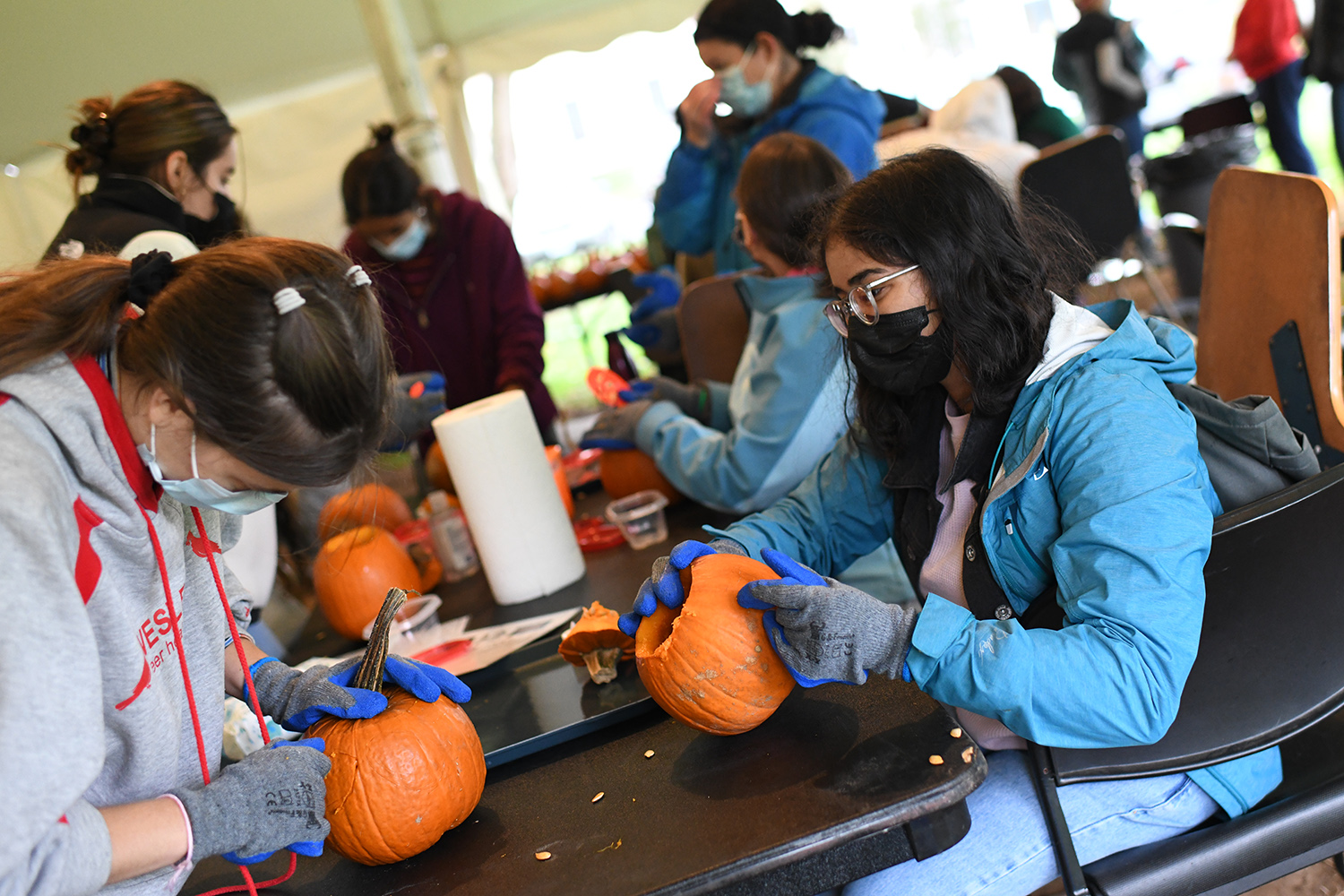 pumpkin carving